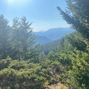 Meet your Posher, Tamara